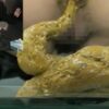 どアップで排便