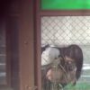 野外糞漏らしJKビデオ
